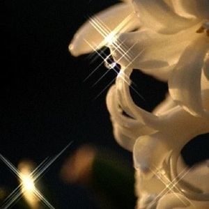 Meet your Posher, Kris